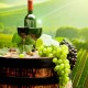 Вино Шато де Ла Тур / Chateau de La Tour (органический виноградник)