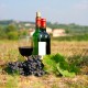 Столовые и местные вина Франции