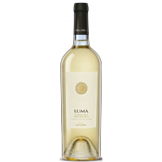 Chardonnay Sicilia Luma 0.75